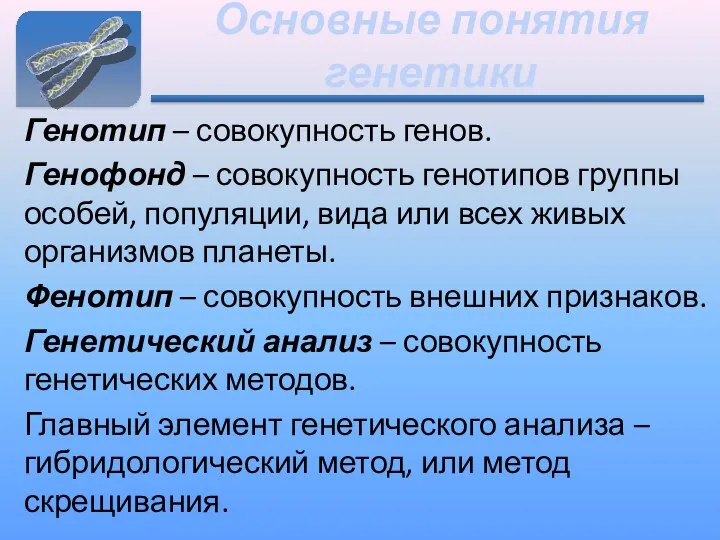 Основные понятия генетики Генотип – совокупность генов. Генофонд – совокупность генотипов группы