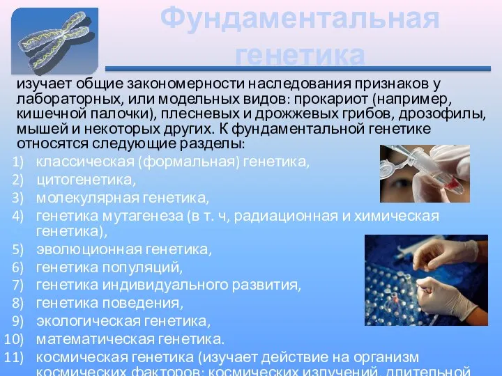 Фундаментальная генетика изучает общие закономерности наследования признаков у лабораторных, или модельных видов: