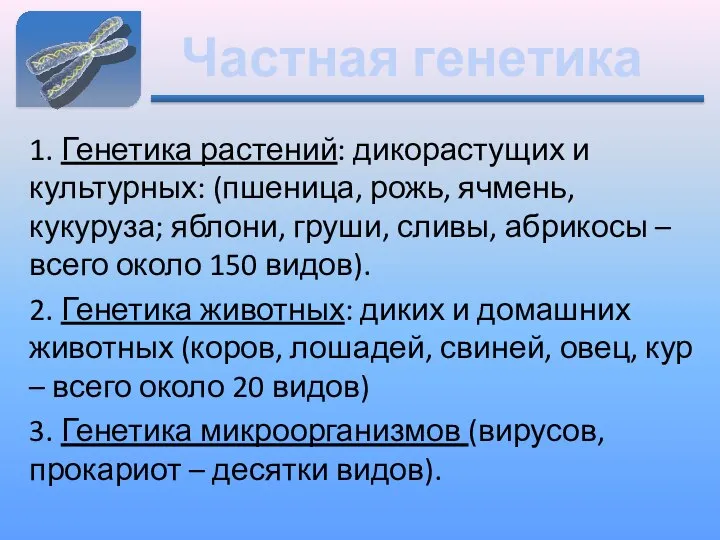 Частная генетика 1. Генетика растений: дикорастущих и культурных: (пшеница, рожь, ячмень, кукуруза;