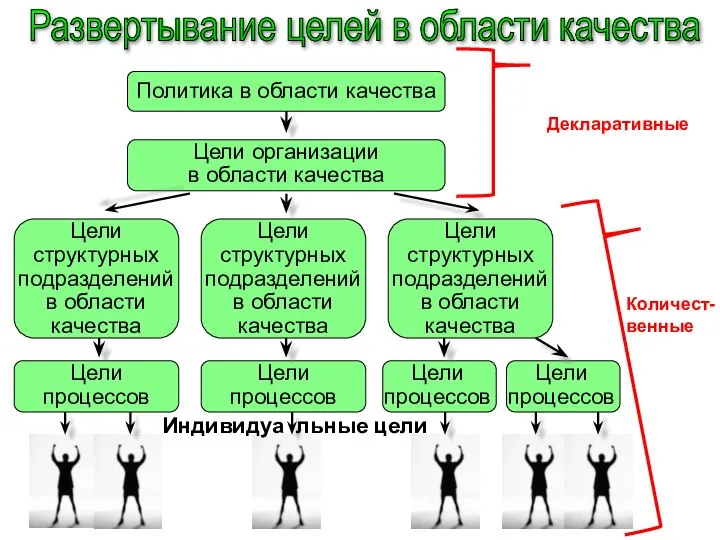 Развертывание целей в области качества Политика в области качества Цели организации в