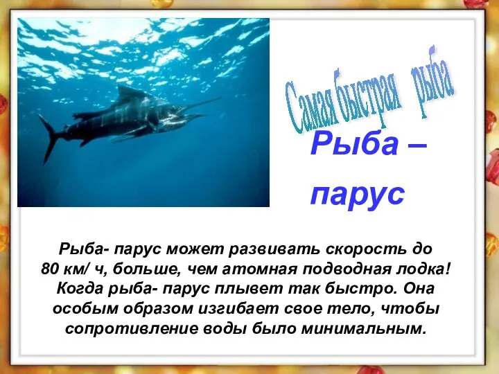 Рыба- парус может развивать скорость до 80 км/ ч, больше, чем атомная