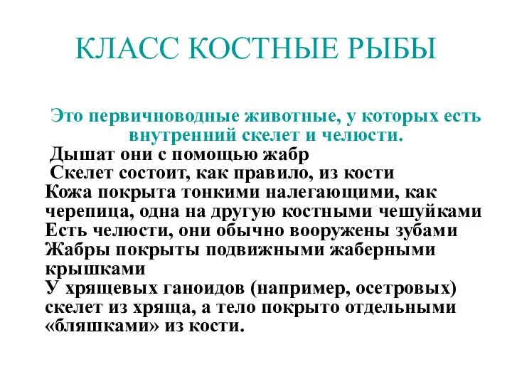 КЛАСС КОСТНЫЕ РЫБЫ Это первичноводные животные, у которых есть внутренний скелет и