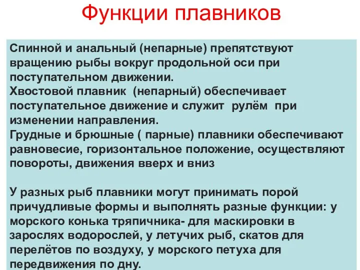 Функции плавников