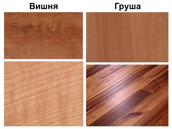 Вишня Груша