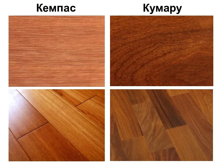 Кемпас Кумару