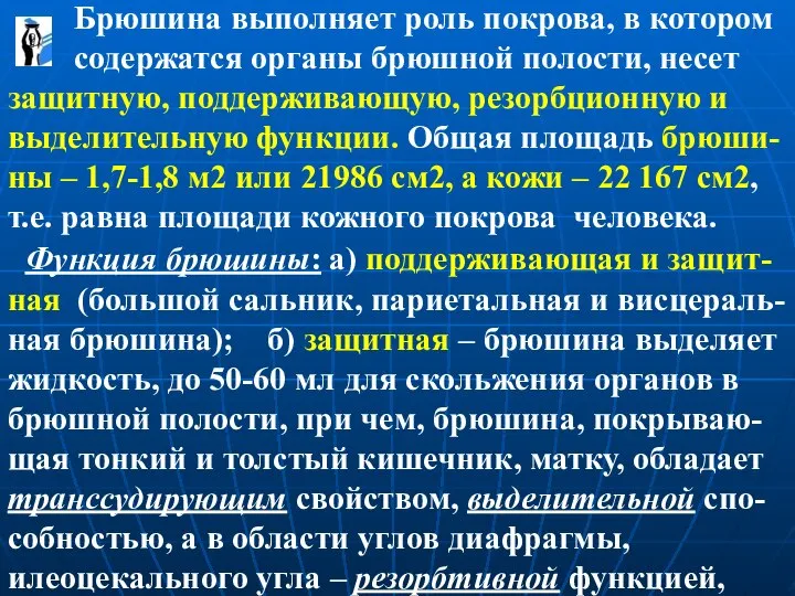 Брюшина выполняет роль покрова, в котором содержатся органы брюшной полости, несет защитную,