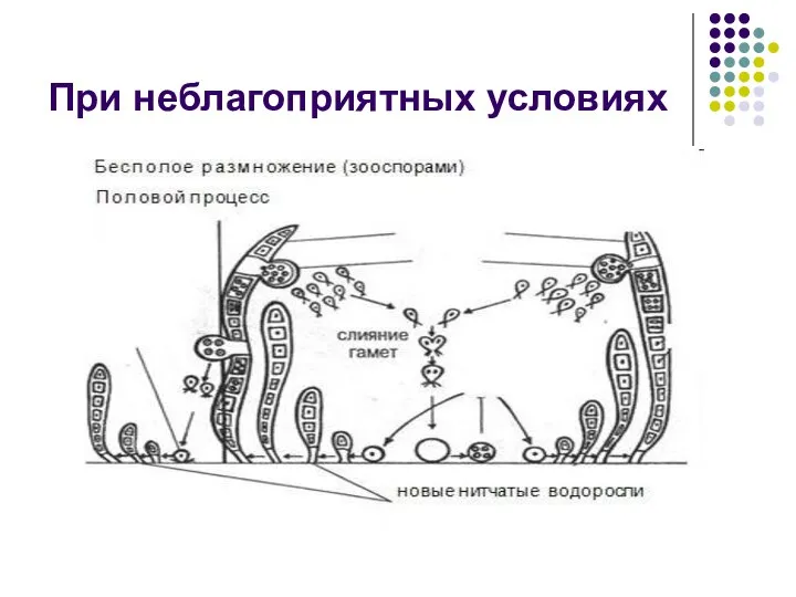 При неблагоприятных условиях