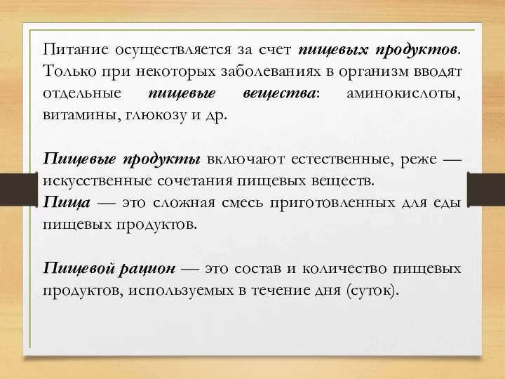 Питание осуществляется за счет пищевых продуктов. Только при некоторых заболеваниях в организм