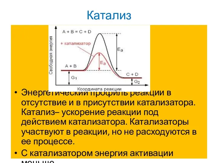 Катализ Энергетический профиль реакции в отсутствие и в присутствии катализатора. Катализ– ускорение