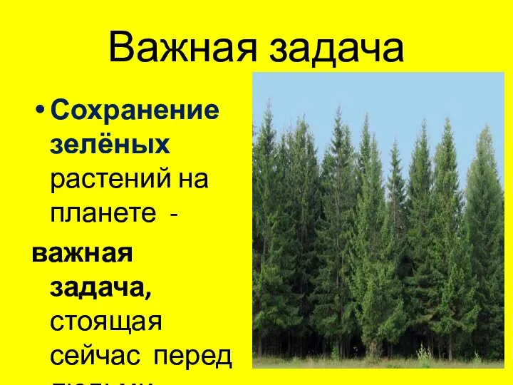 Важная задача Сохранение зелёных растений на планете - важная задача, стоящая сейчас перед людьми.