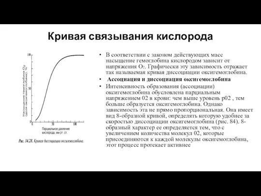 Кривая связывания кислорода В соответствии с законом действующих масс насыщение гемо­глобина кислородом