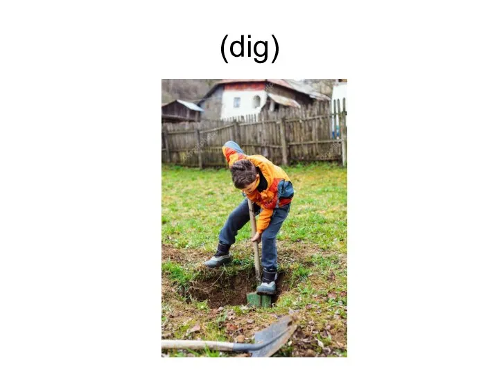 (dig)