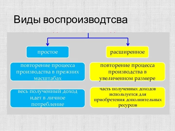 Виды воспроизводтсва