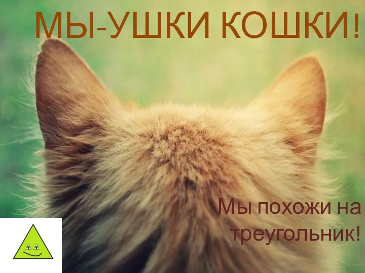 МЫ-УШКИ КОШКИ! Мы похожи на треугольник!