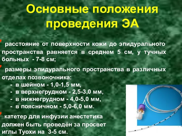 Основные положения проведения ЭА расстояние от поверхности кожи до эпидурального пространства равняется