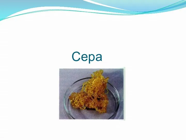 Сера