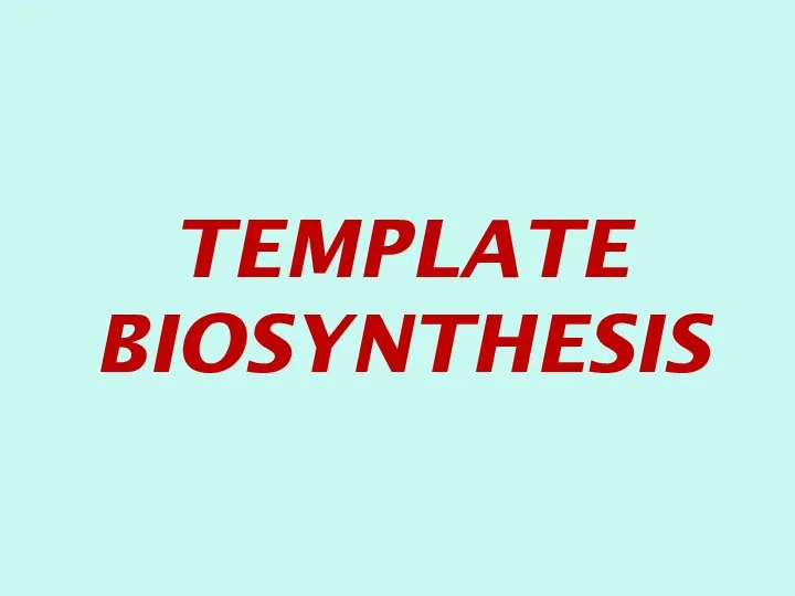 Template biosynthesis