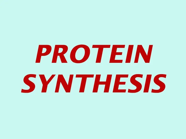 PROTEIN SYNTHESIS