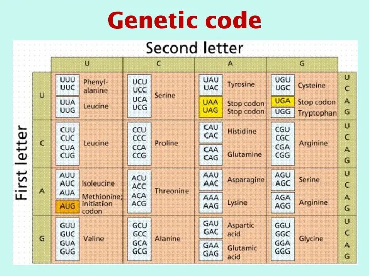 Genetic code