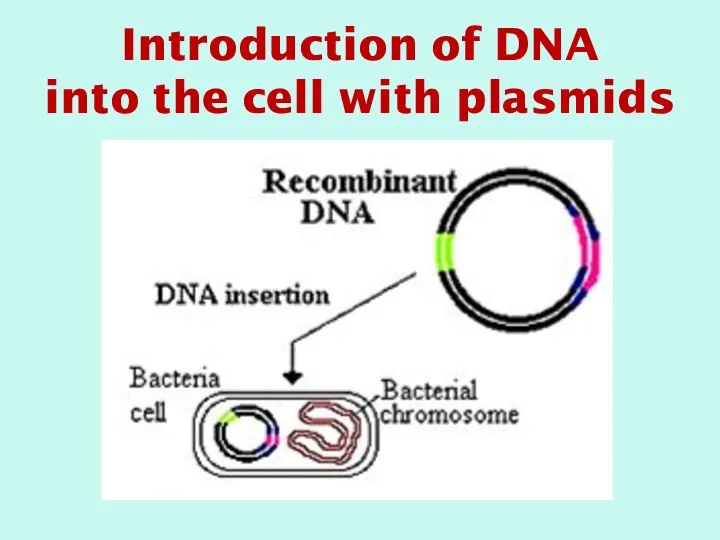 Introduction of DNA into the cell with plasmids