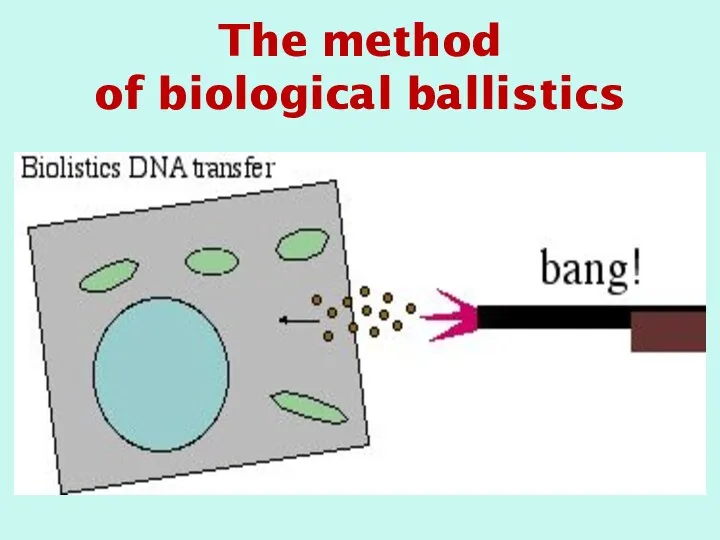 The method of biological ballistics