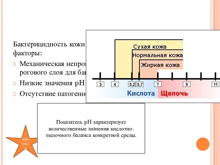 Бактерицидность кожи обеспечивает следующие факторы: Механическая непроницаемость/непроходимость рогового слоя для бактерий Низкие