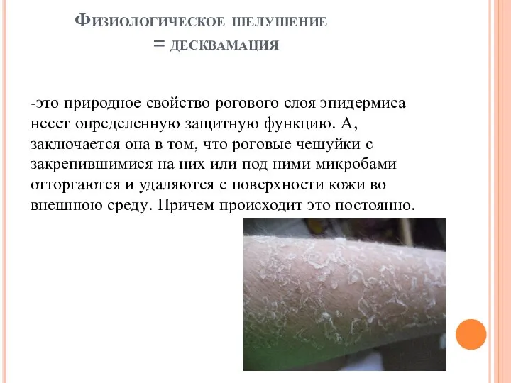 Физиологическое шелушение = десквамация -это природное свойство рогового слоя эпидермиса несет определенную