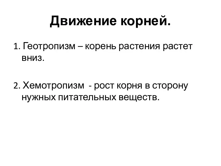 Движение корней. 1. Геотропизм – корень растения растет вниз. 2. Хемотропизм -