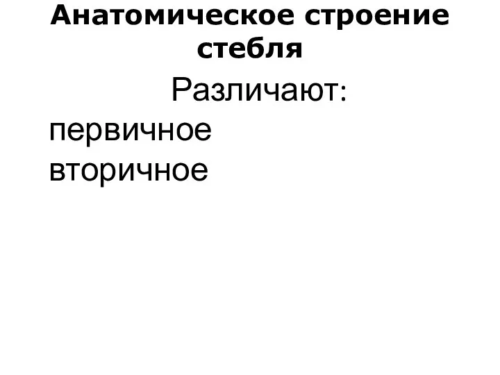 Анатомическое строение стебля Различают: первичное вторичное