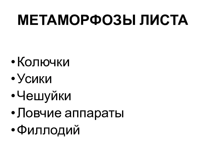 МЕТАМОРФОЗЫ ЛИСТА Колючки Усики Чешуйки Ловчие аппараты Филлодий