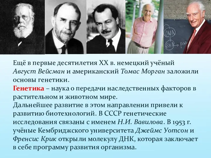 Ещё в первые десятилетия XX в. немецкий учёный Август Вейсман и американский