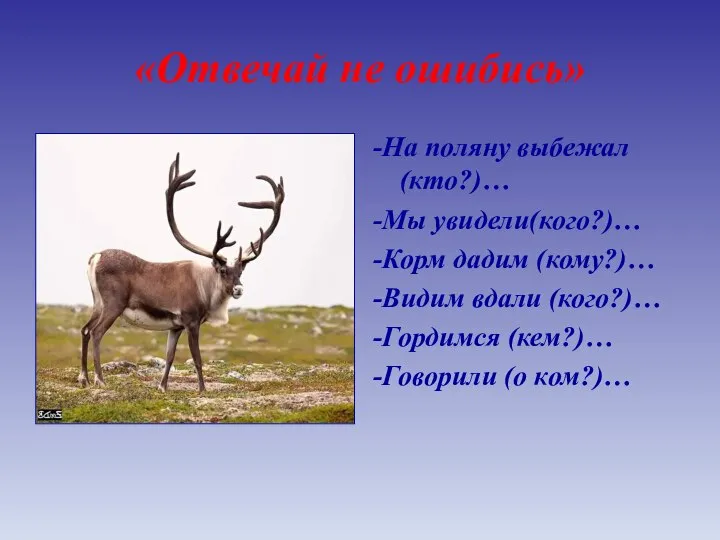 «Отвечай не ошибись» -На поляну выбежал (кто?)… -Мы увидели(кого?)… -Корм дадим (кому?)…