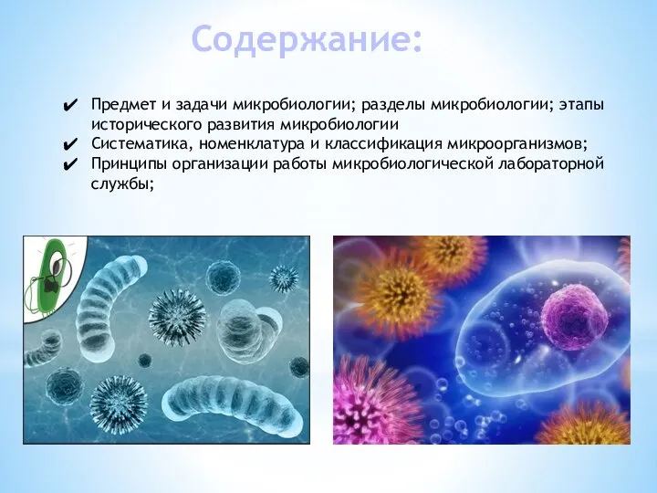 Содержание: Предмет и задачи микробиологии; разделы микробиологии; этапы исторического развития микробиологии Систематика,