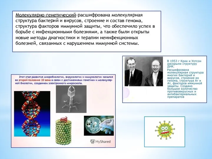 Молекулярно-генетический-расшифрована молекулярная структура бактерий и вирусов, строение и состав генома, структура факторов