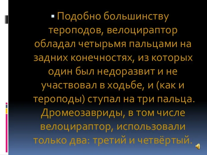 Подобно большинству тероподов, велоцираптор обладал четырьмя пальцами на задних конечностях, из которых