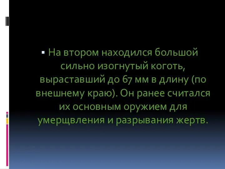 На втором находился большой сильно изогнутый коготь, выраставший до 67 мм в