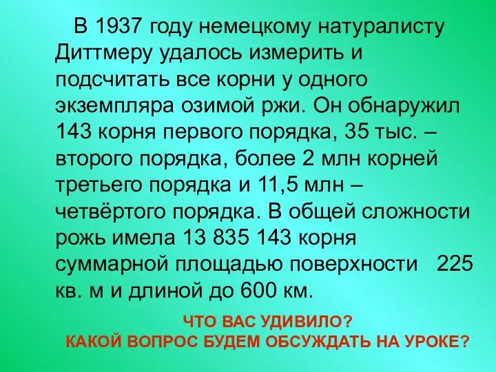 В 1937 году немецкому натуралисту Диттмеру удалось измерить и подсчитать все корни