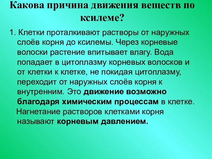 Какова причина движения веществ по ксилеме? 1. Клетки проталкивают растворы от наружных