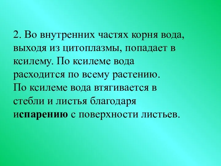 2. Во внутренних частях корня вода, выходя из цитоплазмы, попадает в ксилему.