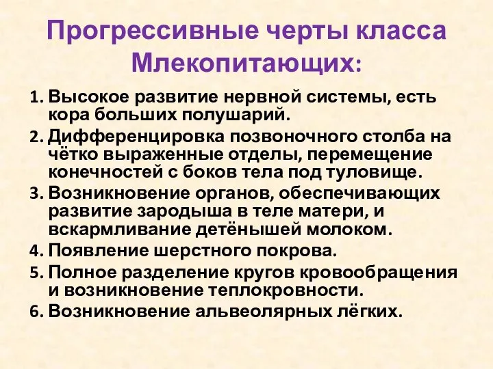 Прогрессивные черты класса Млекопитающих: 1. Высокое развитие нервной системы, есть кора больших