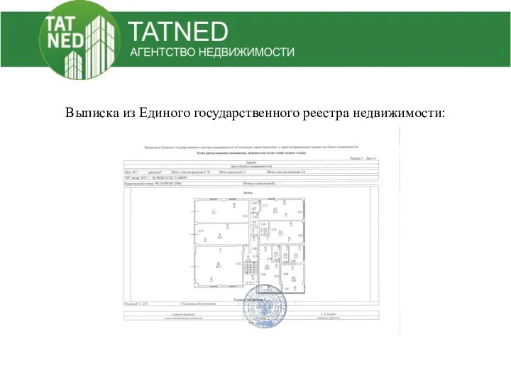 Выписка из Единого государственного реестра недвижимости: