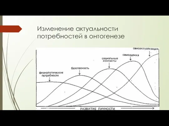 Изменение актуальности потребностей в онтогенезе