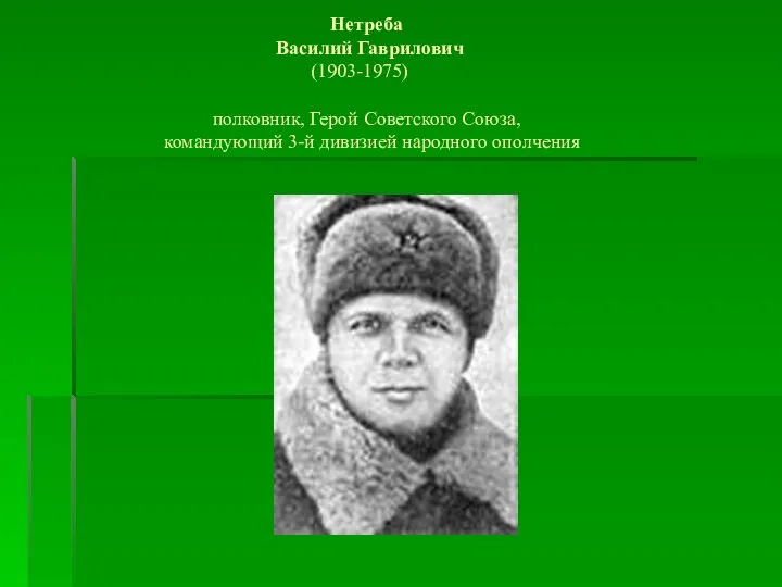 Нетреба Василий Гаврилович (1903-1975) полковник, Герой Советского Союза, командующий 3-й дивизией народного ополчения