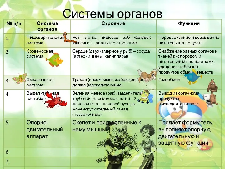 Системы органов