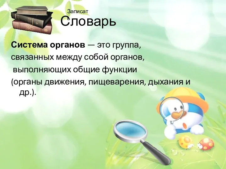 Словарь Система органов — это группа, связанных между собой органов, выполняющих общие