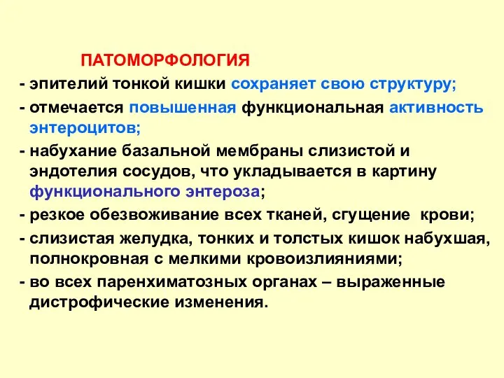 ПАТОМОРФОЛОГИЯ - эпителий тонкой кишки сохраняет свою структуру; - отмечается повышенная функциональная