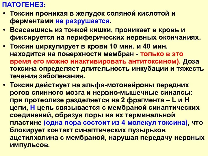 ПАТОГЕНЕЗ: Токсин проникая в желудок соляной кислотой и ферментами не разрушается. Всасавшись