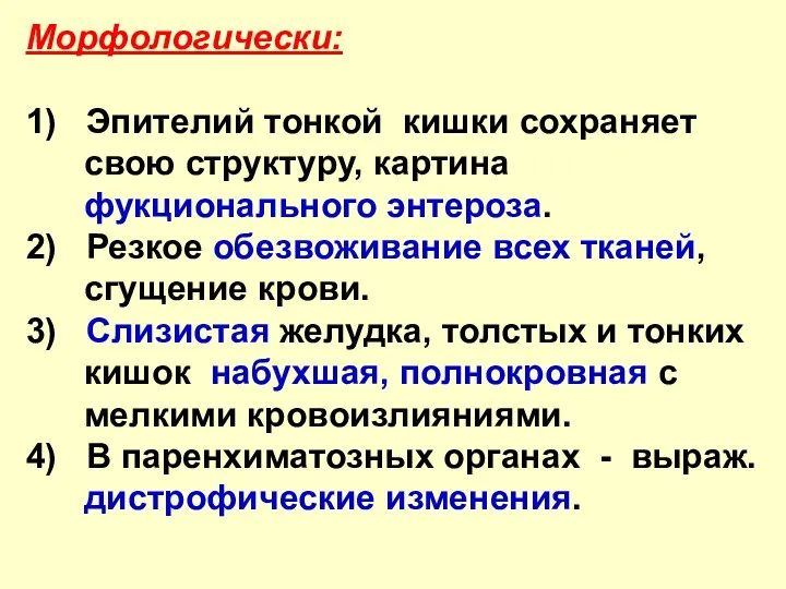 Морфологически: 1) Эпителий тонкой кишки сохраняет свою структуру, картина фукционального энтероза. 2)