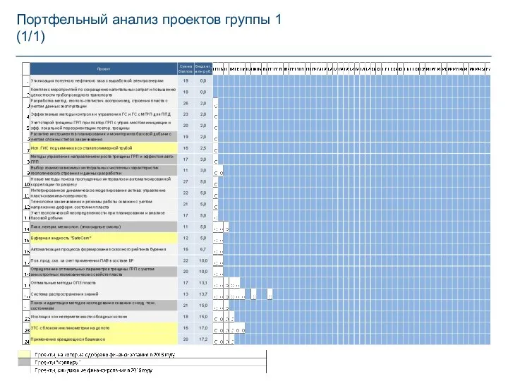 Портфельный анализ проектов группы 1 (1/1)