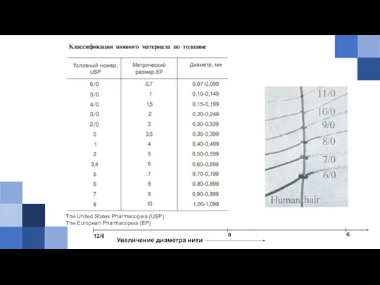 The United States Pharmacopeia (USP) The European Pharmacopeia (EP) Увеличение диаметра нити 12/0 0 6